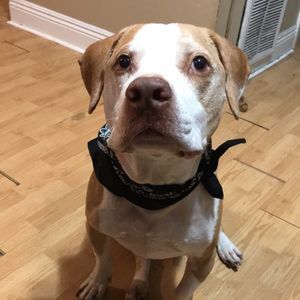 Meet your Posher, Wesley